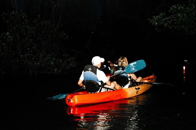 Bio Bay Kayak Tour in Fajardo - Environmental Factors and Recommendations