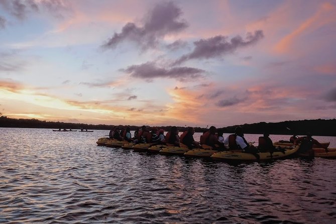 Bio Bay Kayak Tour in Fajardo - Tour Policies
