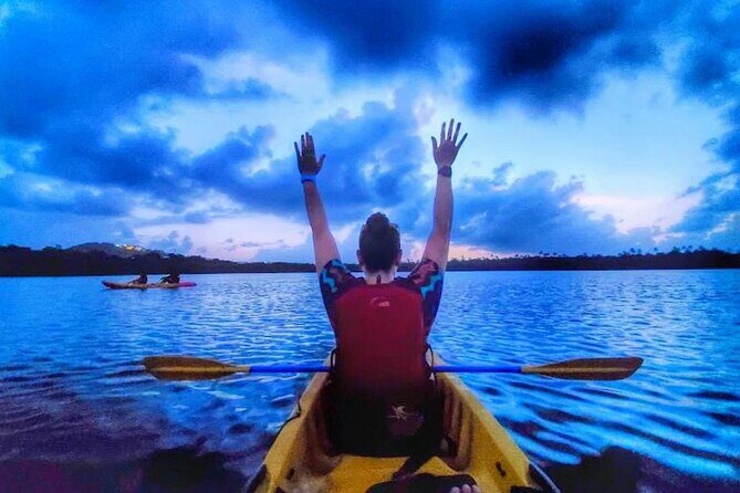 Bio Bay Night Kayak Tour in Fajardo - Introducing the Bio Bay Night Kayak Tour in Fajardo