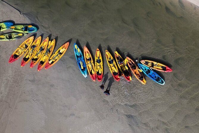 Bio Bay Night Kayak Tour in Fajardo - Highlights of the Experience