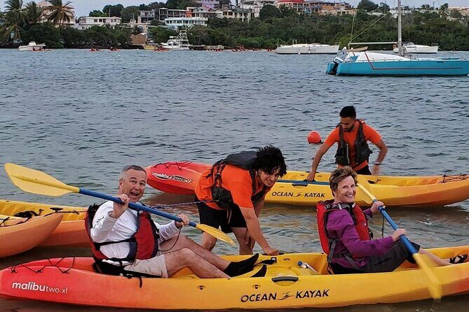 Bio Bay Night Kayak Tour in Fajardo - The Sum Up: Is It Worth It?