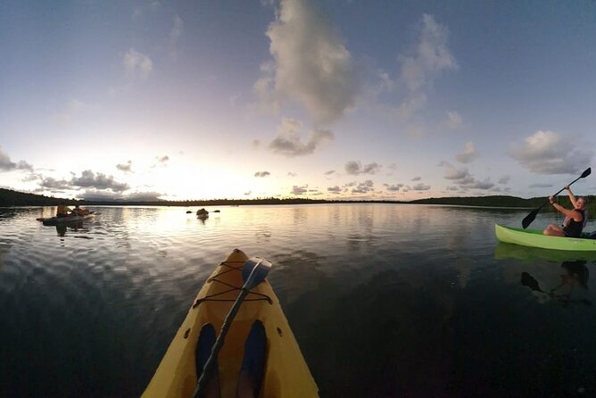 Bio Bay Night Kayaking | Laguna Grande, Fajardo - Meeting Point and Accessibility