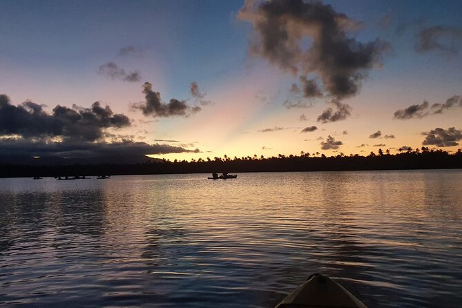 Bio Bay Night Kayaking | Laguna Grande, Fajardo - Guided Night Adventure