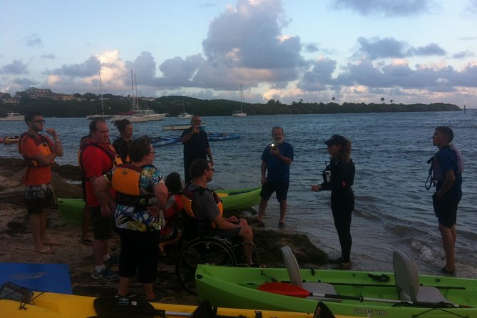Bio Bay Night Kayaking With Transport From San Juan Area - What to Expect