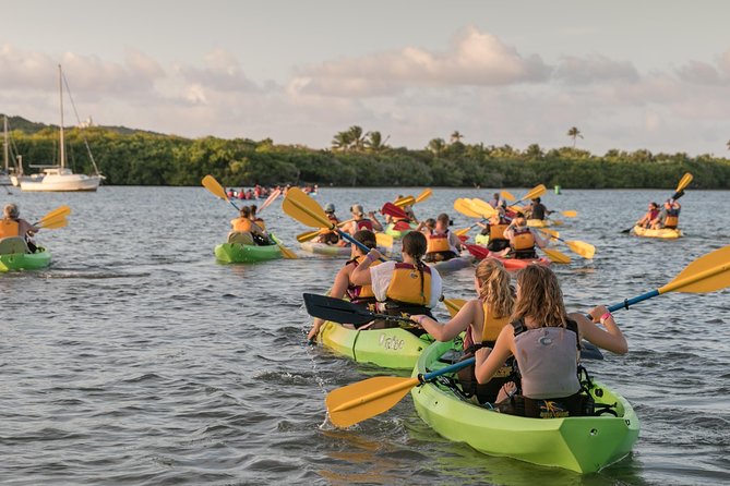 Bio Bay Night Kayaking With Transport From San Juan - Overview of the Tour