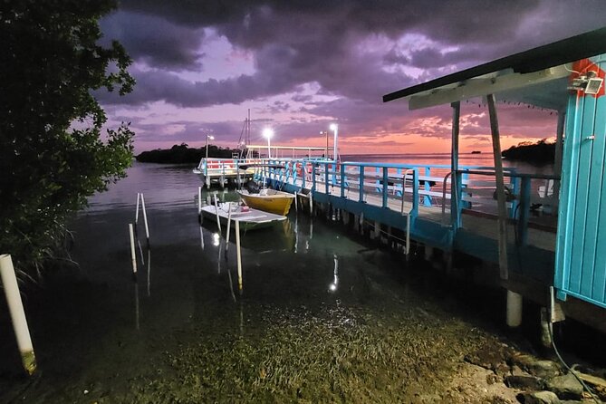 Bio Bay Swimming Experience With Boat Transport From La Parguera - Swimming Opportunities