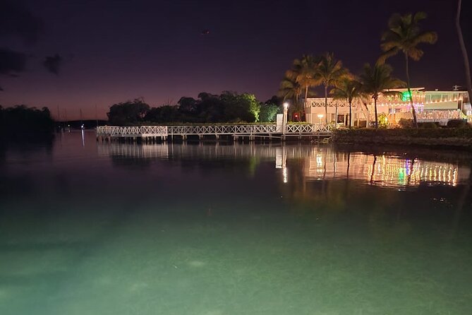 Bio Bay Swimming Experience With Boat Transport From La Parguera - Guest Feedback and Ratings