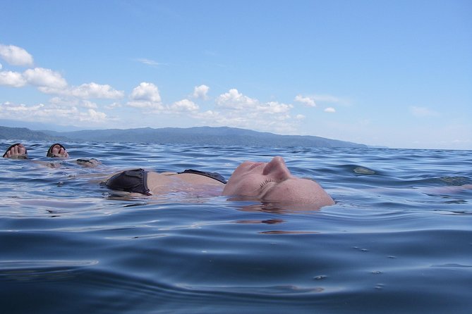 Bio-Luminescence and Sunset Kayak Tour - Itinerary and Highlights