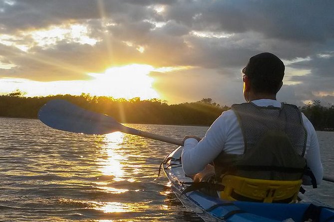 Bio-Luminescence and Sunset Kayak Tour - Accessibility and Conditions