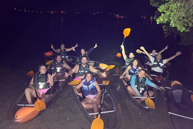 Biobay Vieques Tour Kayak Night Tour - Final Thoughts: Is It Worth It?