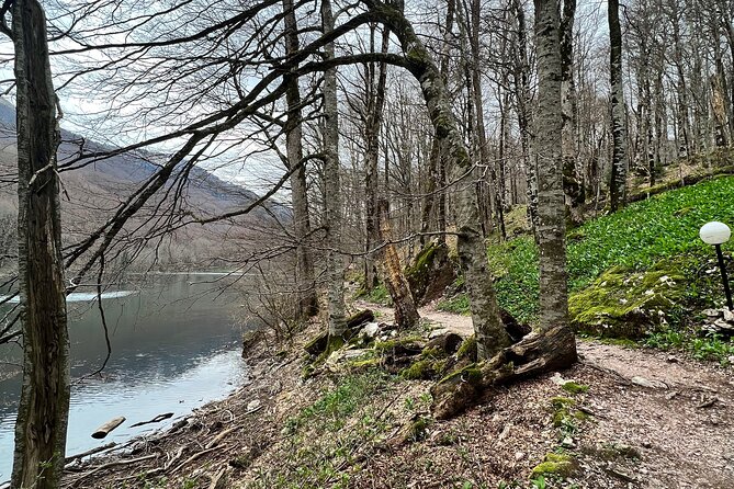Biogradska Gora National Park & Skadar Lake Boat Tour - Pickup Information
