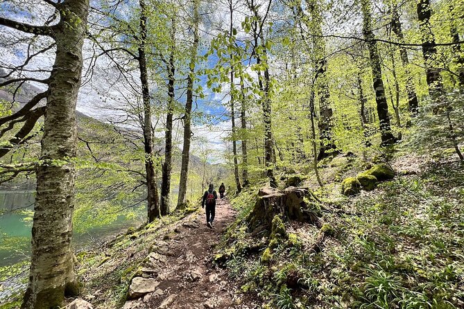 Biogradska Gora National Park & Skadar Lake Boat Tour - Skadar Lake Boat Tour