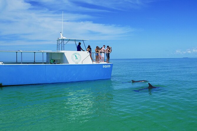 Biologist Owned & Operated: Dolphin Watching & Guided Snorkeling - Small Group Sizes