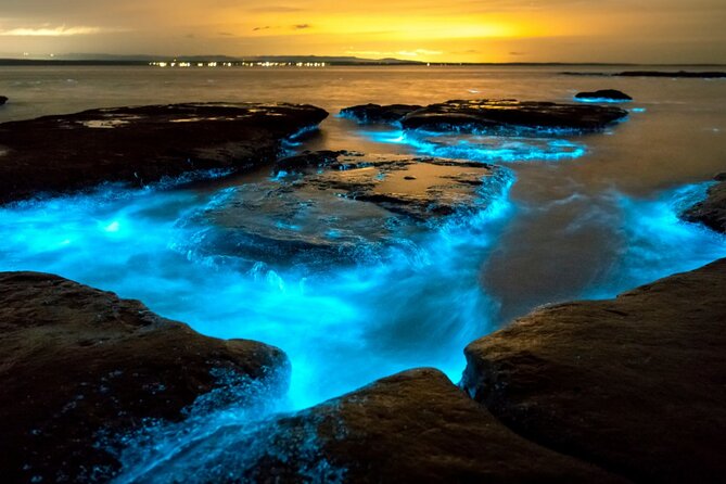 Bioluminescence Clear Kayak or Paddleboard Tour Near Orlando - Meeting and Pickup