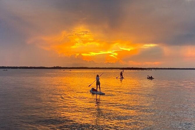 Bioluminescence Clear Kayak or Paddleboard Tour Near Orlando - Additional Information