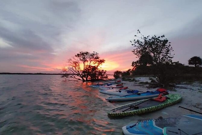 Bioluminescence Clear Kayak or Paddleboard Tour Near Orlando - Wildlife Spotting