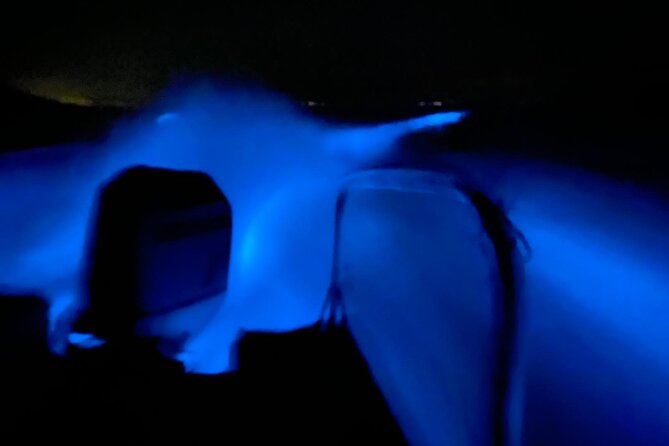 Bioluminescence Experience From Curú Wildlife Refuge - Snorkeling and Boat Transfer