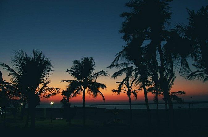 Bioluminescence from Puerto Escondido - FAQs