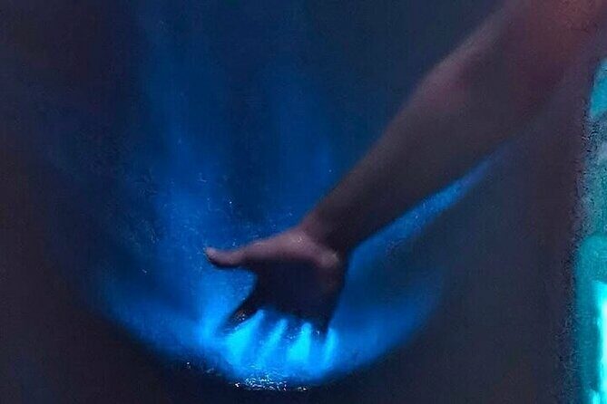 Bioluminescence in Manialtepec Night Tour from Huatulco - Why This Tour Is Worth Considering