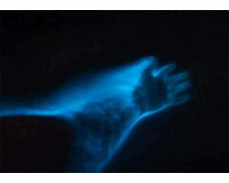 BIOLUMINESCENCE IN PUERTO ESCONDIDO - Cost and Value
