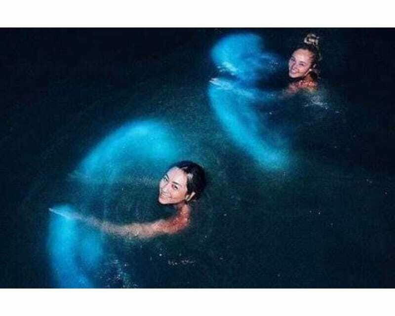 BIOLUMINESCENCE IN PUERTO ESCONDIDO - Frequently Asked Questions