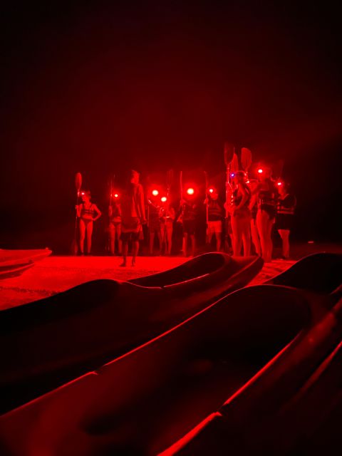 Bioluminescence Kayak Tour at Holbox - Key Points