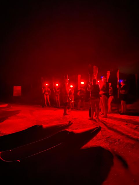 Bioluminescence Kayak Tour at Holbox - Customer Reviews