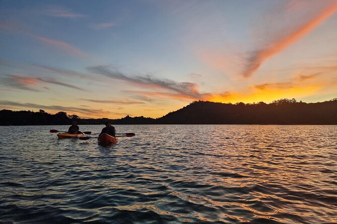 Bioluminescence Kayak Tour - Est. 1994 - Included Amenities