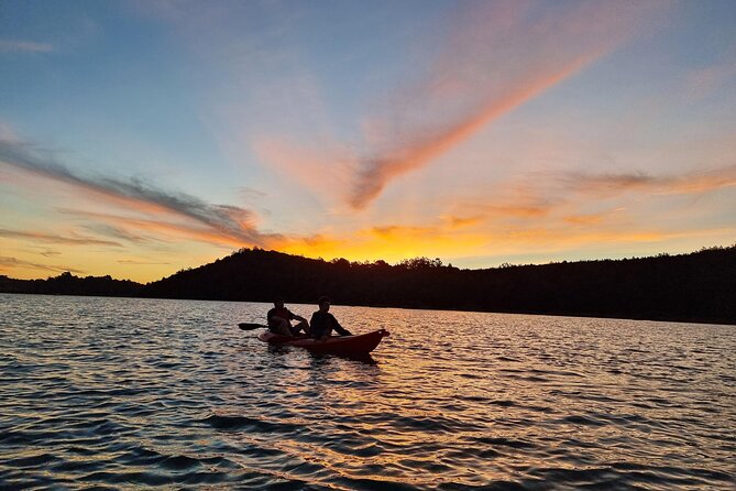 Bioluminescence Kayak Tour - Est. 1994 - Group Size and Guide Ratio