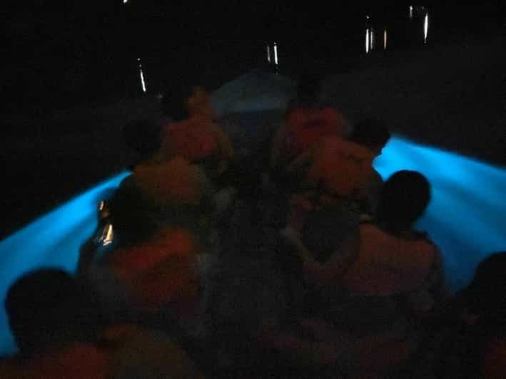 Bioluminescence Manialtepec Lagoon - Key Points