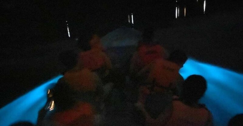 Bioluminescence Manialtepec Lagoon - Service Language