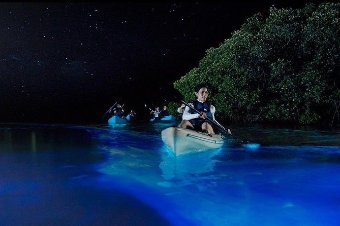 Bioluminescence Night Kayaking Tour of Merritt Island Wildlife Refuge - Tour Inclusions