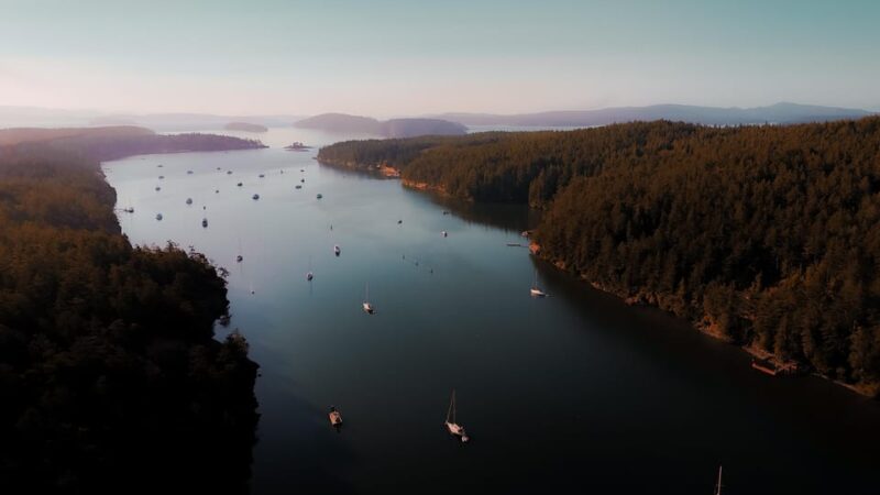 Bioluminescence Night Paddle - Kayaking Instruction and Guiding