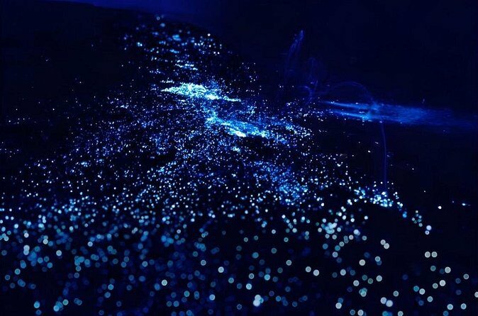 Bioluminescence Snorkel Boat Tour to Klein Bonaire - FAQ