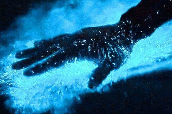 Bioluminescence & sunset local boat tour to Los Arcos Sanctuary - Introduction