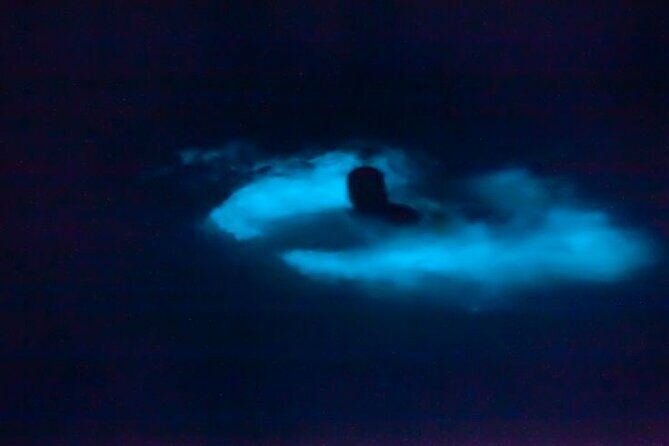 Bioluminescence & sunset local boat tour to Los Arcos Sanctuary - Key Points