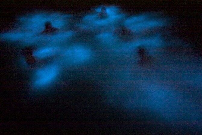 Bioluminescence & sunset local boat tour to Los Arcos Sanctuary - FAQ