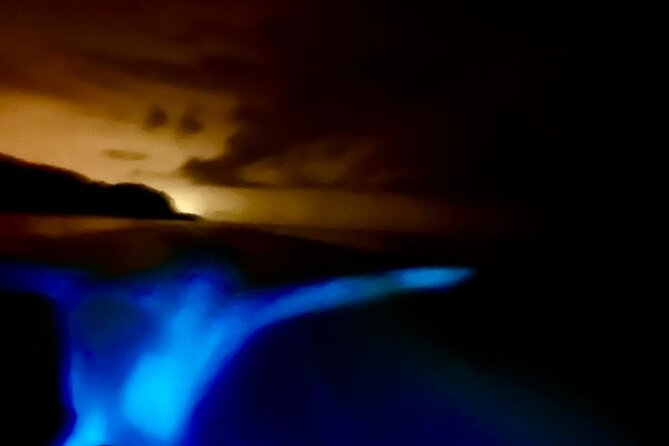 Bioluminescence Tour by Boat - Meeting Details