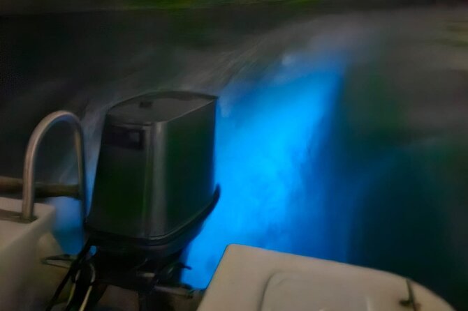 Bioluminescence Tour - Customer Feedback Highlights