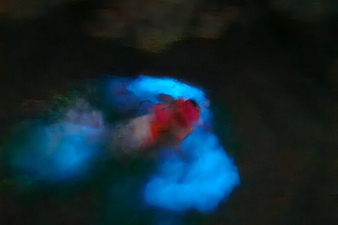 Bioluminescence Tour - Memorable Experiences