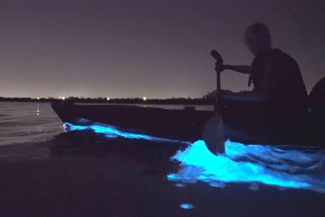 Bioluminescence Tour in Kayak in Holbox Island - Location and Availability