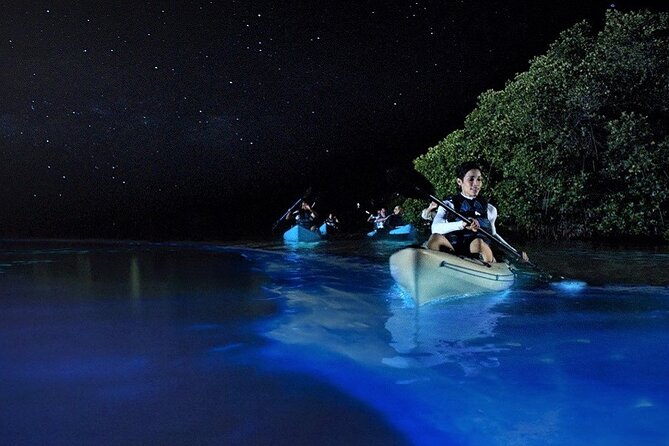 Bioluminescence Tour in Kayak in Holbox Island - Included Services