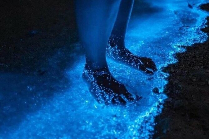 Bioluminescence Tour in Punta Cocos Holbox - Key Points