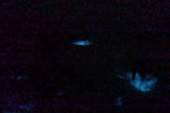 Bioluminescence Tour in Punta Cocos Holbox - FAQ