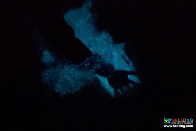 Bioluminescence Tour & Sunset River Cruise - Experience Highlights