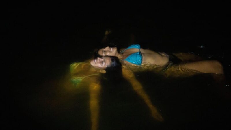 Bioluminescence & Turtle Release - Key Points
