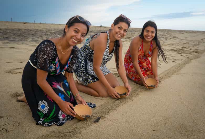 Bioluminescence & Turtle Release - Ecological Reserve and Turtle Release