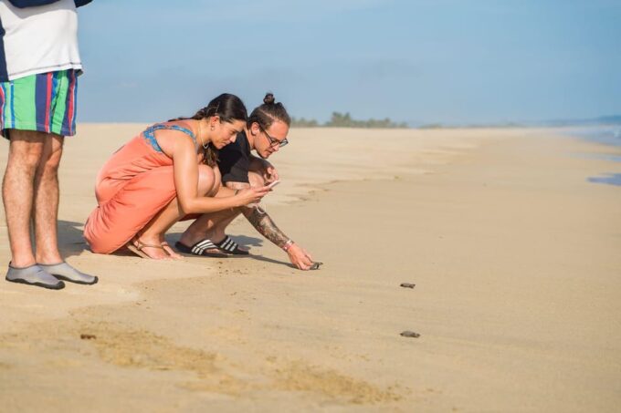 Bioluminescence & Turtle Release - Itinerary and Logistics