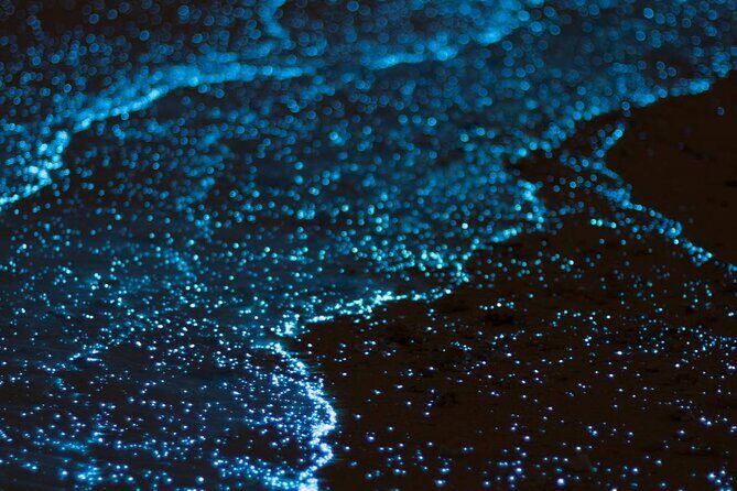 Bioluminescent Bay Adventure in Grand Cayman - Key Points