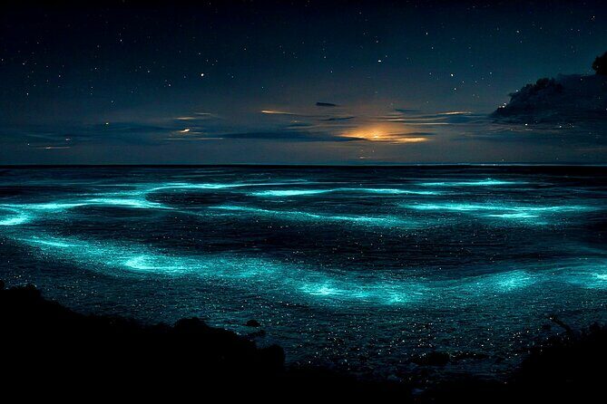 Bioluminescent Bay Adventure in Grand Cayman - How Do Reviews Shape the Picture?